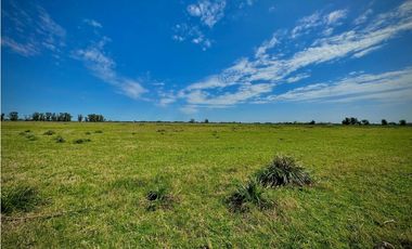 Venta Campo sobre la ruta 47 km 6