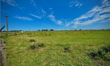 Venta Campo sobre la ruta 47 km 6