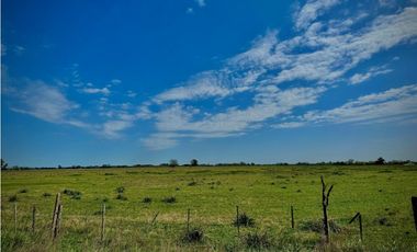 Venta Campo sobre la ruta 47 km 6