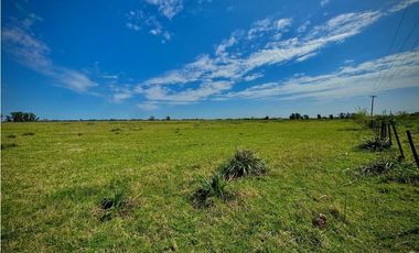 Venta Campo sobre la ruta 47 km 6