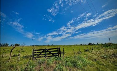 Venta Campo sobre la ruta 47 km 6