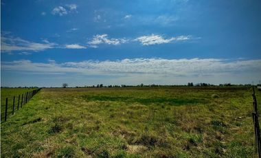 Venta Campo sobre la ruta 47 km 6