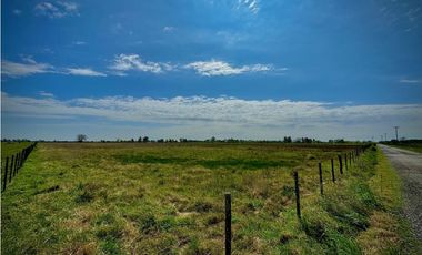 Venta Campo sobre la ruta 47 km 6