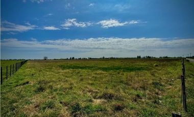 Venta Campo sobre la ruta 47 km 6