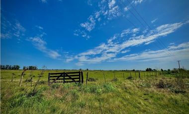 Venta Campo sobre la ruta 47 km 6