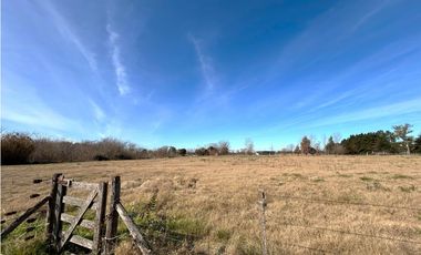 Casa quinta de 1 hectarea a la venta en mercedes