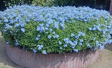 Casa sobre dos lotes en Jose Marmol