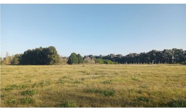 FRACCION DE CAMPO A LA VENTA EN CARLOS KEEN (IDEAL TURISTICO)