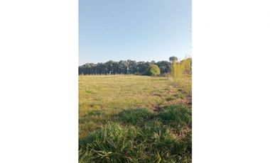 FRACCION DE CAMPO A LA VENTA EN CARLOS KEEN (IDEAL TURISTICO)