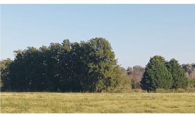 FRACCION DE CAMPO A LA VENTA EN CARLOS KEEN (IDEAL TURISTICO)