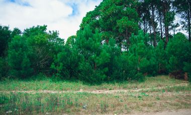 ¡Construye tu refugio costero en la exclusiva zona de Nayades Pinamar!