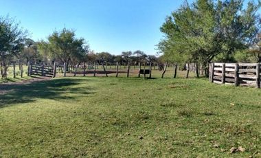 Campo en Sauce de Luna