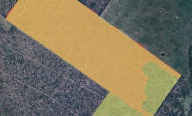 Campo en Sauce de Luna