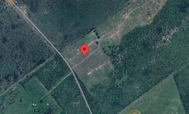 Campo en Sauce de Luna