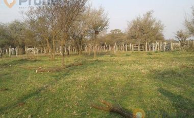 Campo en Sauce de Luna