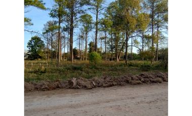 LOTE DE 8000 METROS EN BORGES Y CHURRUARIN