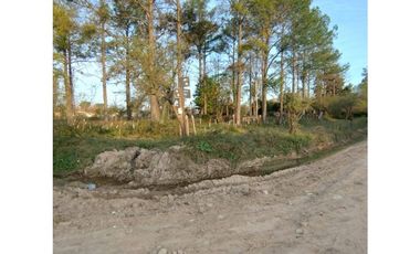 LOTE DE 8000 METROS EN BORGES Y CHURRUARIN