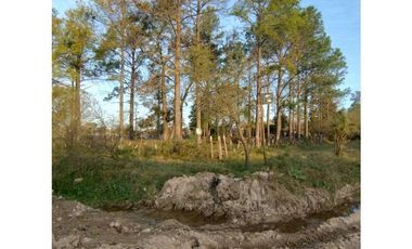 LOTE DE 8000 METROS EN BORGES Y CHURRUARIN