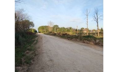 LOTE DE 8000 METROS EN BORGES Y CHURRUARIN