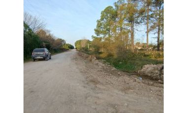 LOTE DE 8000 METROS EN BORGES Y CHURRUARIN