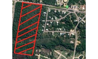 7 HECTAREAS CERCANAS AL RIO PARANA