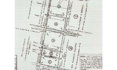 7 HECTAREAS CERCANAS AL RIO PARANA