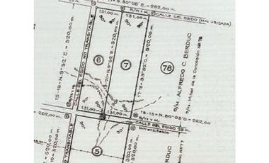 7 HECTAREAS CERCANAS AL RIO PARANA