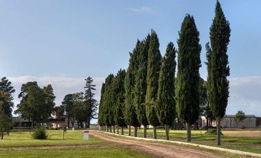 ¡La Victoria Country Club General Madariaga!