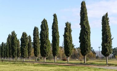 ¡La Victoria Country Club General Madariaga!