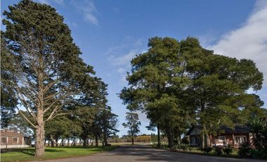 ¡La Victoria Country Club General Madariaga!