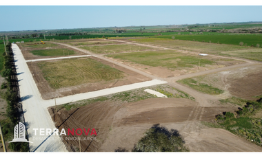 ULTIMOS LOTES DISPONIBLES ORO VERDE