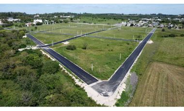 Lotes Sol a Sol ORO VERDE