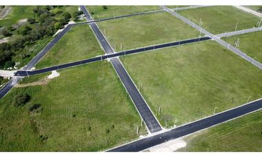 Lotes Sol a Sol ORO VERDE