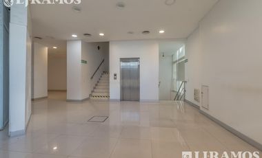 Local en Alquiler Microcentro