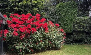 CASA EN VENTA EN LOMAS DE TECAMACHALCO