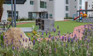 Departamento en renta  6tasecc Lomas Verdes - Espectacular vista