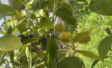 CASA EN VENTA EL POLO MACHALI