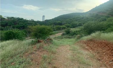 Se vende lotes en el rodadero para vivienda urbana  sector el Laguito