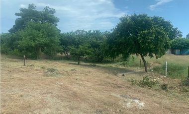 Se vende o permuta lote en vista hermosa santa Marta