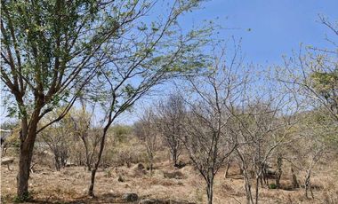 Se vende lote en Santa Marta via alterna zona industrial