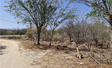 Se vende lote en Santa Marta via alterna zona industrial