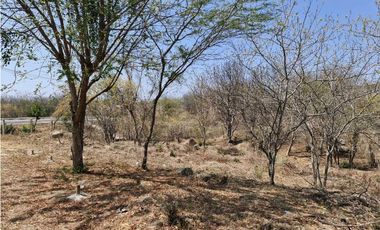 Se vende lote en Santa Marta via alterna zona industrial