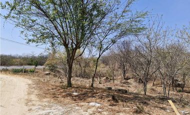 Se vende lote en Santa Marta via alterna zona industrial