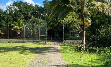 Se vende finca en río ancho corregimiento de mingueo la guajira