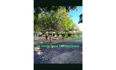 Se vende finca en río ancho corregimiento de mingueo la guajira