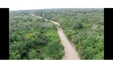 Lote en venta ubicado en  Palomino la Guajira