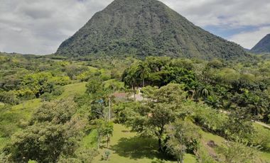 Finca en venta - Venecia Antioquia