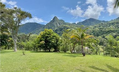 Finca en venta - Venecia Antioquia