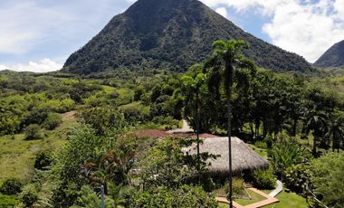 Finca en venta - Venecia Antioquia