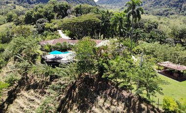 Finca en venta - Venecia Antioquia